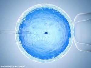 赵主任